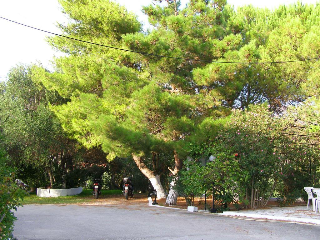 Polymnia Apartments 스파르티아 외부 사진